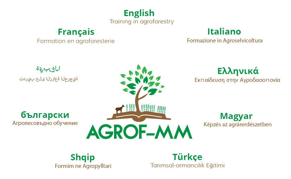 Agrof-MM
